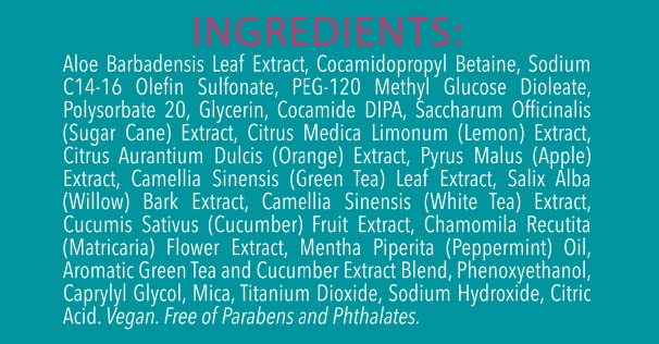 Foaming Cleansing Gel for Oily & Blemished Skin, Non-Greasy Exfoliating Cleanser with Silky Smooth Formula for All Skin Types - 6 oz