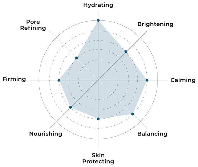 FACETORY K Beauty Face Mask Skin Care - Woah That H2O 2-Step Sheet Mask with Ceramide & Sodium Hyaluronate + Hydration Ampoule | Hydrating, Moisturizing, Balancing (10 Pack)