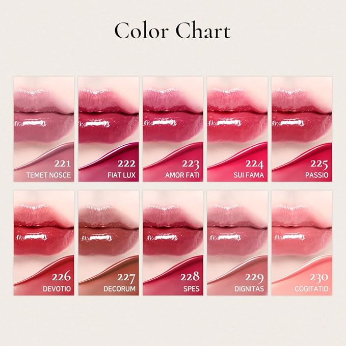 DINTO Blur-Glowy Lip Tint - Glossy Finish, Hydrating, Long Lasting, Lightweight Texture, Non-Sticky, Vegan & Cruelty-Free, K beauty (204 Modestia, 0.11 fl.oz) (30 colors)