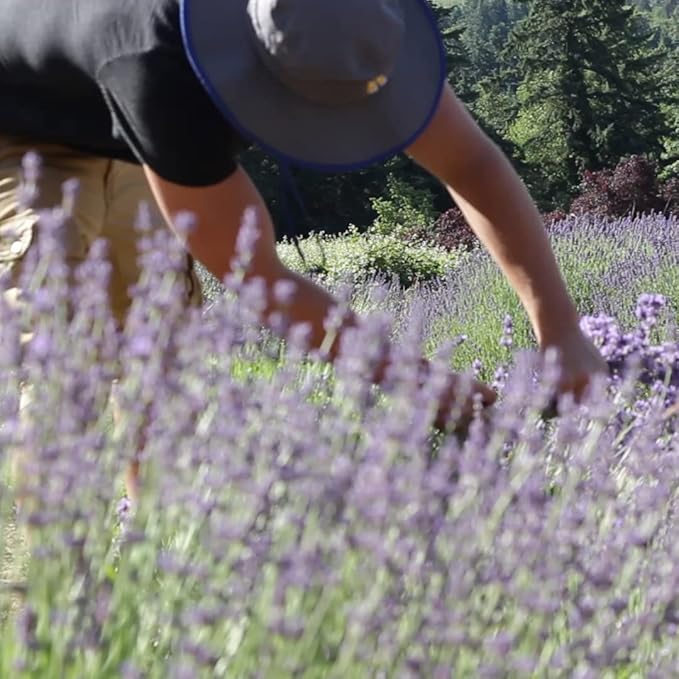 Victoria's Lavender Gift Basket for Women - Travel Massage Candle, Hand & Body Lotion, Bath Salts & Lavender Sachet, Skin Care, Beauty Products for Women, Body Wash Set, Spa Kit, Made in The USA