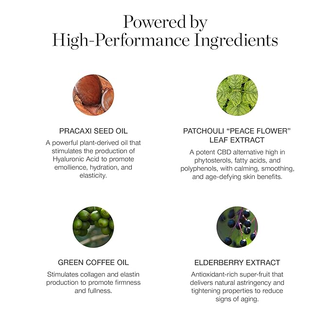 Ogee Sculpted Complexion Foundation Stick (Sequoia 13.5C - Deep Auburn, Copper Undertones) Full Coverage Foundation Makeup - Instantly Balance & Even Complexion - 70% Organic Ingredients