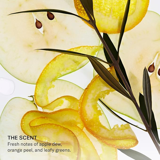 SEEN Leave-In Conditioner - Leave-In Hair Conditioner & Heat Protectant Spray- Detangles & Hydrates- No Parabens, Sulfates or Phthalate (Scented)