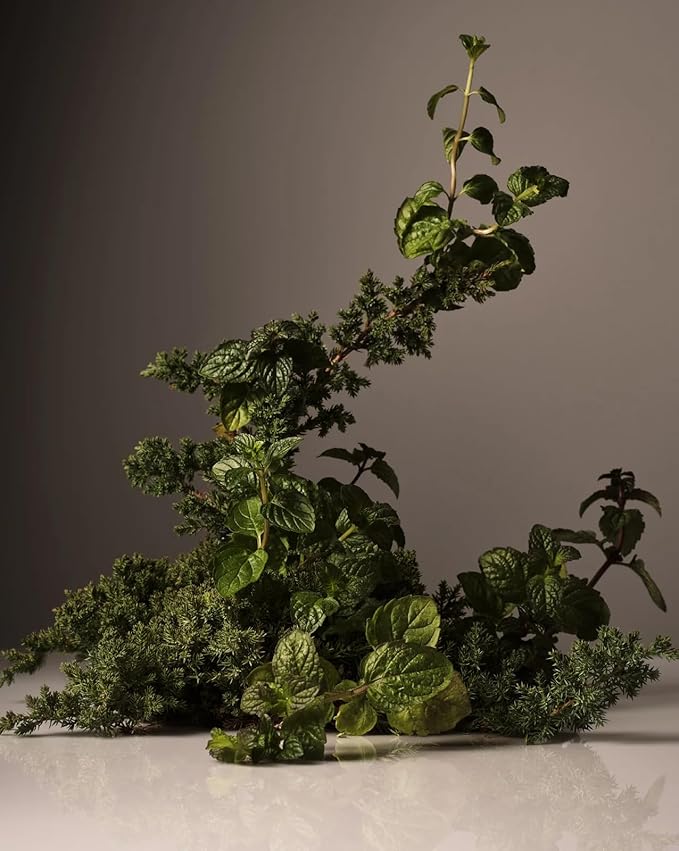 Homecourt Hand Cream, Non-Greasy Moisturizer for Hydrated, Nourished & Soft Hands, Dermatologist Tested, Clean Formula, Cipres Mint, 12 fl oz