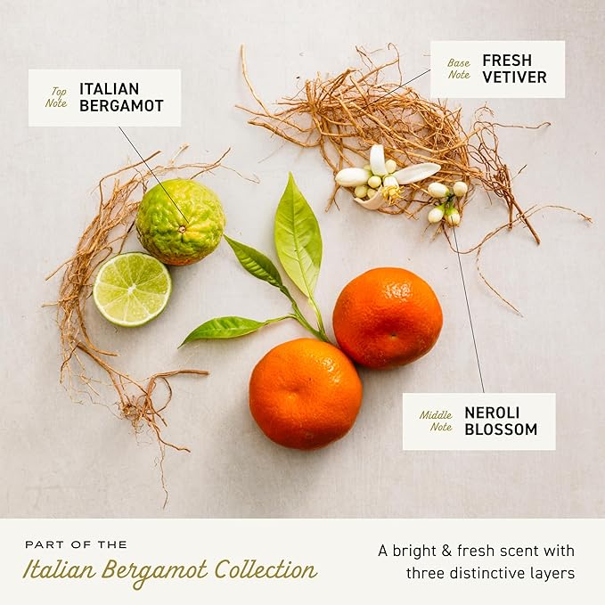 Cremo Body Wash Men, Notes of Italian Bergamot, Neroli Blossom, and Fresh Vetiver, Rich-Lathering Italian Bergamot, 16 Fl Oz