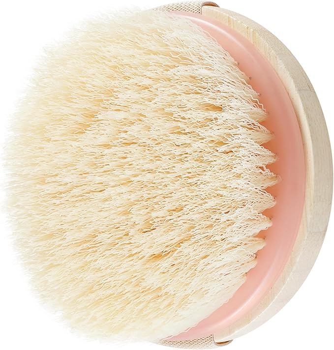 EcoTools Dry Body Brush, Cruelty-Free Bristles Exfoliate & Smooth Skin, Dry Brushing Removes Flaky Skin, May Help Improve Circulation & Tone, Eco-Friendly Skincare Tool, Vegan & Cruelty-Free, 1 Count