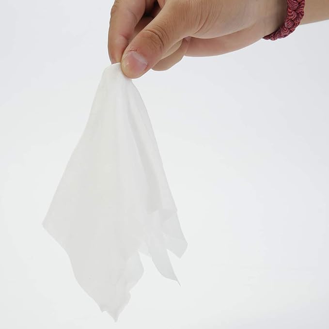 Travel Well Makeup Remover Wipes - 500 Count Pack, Individually Wrapped, Fresh Aloe - Makeup Wipes for Sensitive Skin & Travel Essentials