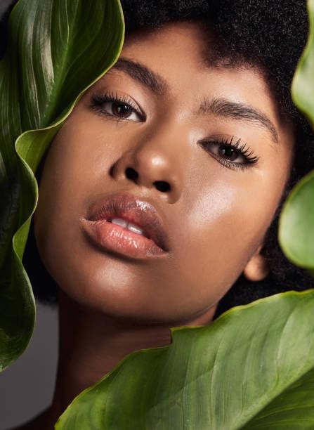 Anti-Aging Face Cream (2 fl.oz/59ml) | Natural, Fragrance-Free Facial Moisturizer | Clean, Vegan, Cruelty Free Skincare for Men & Women | Spa Collection