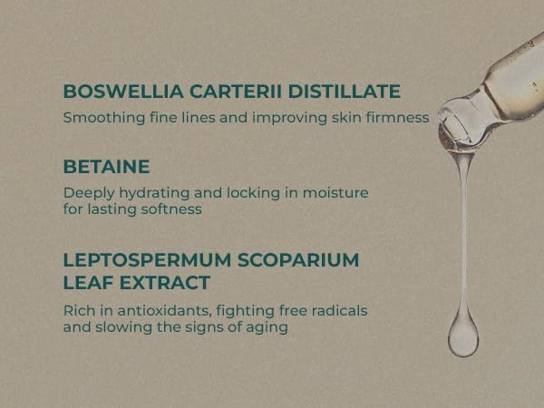 INNA Organic Rejuvenating Toner, Anti-Aging, Wrinkle Care, Fine Lines & Tightening, EWG & Cosmos Certified | Frankincense Essential Oils Infused Skin Care | Luxury Clean Beauty