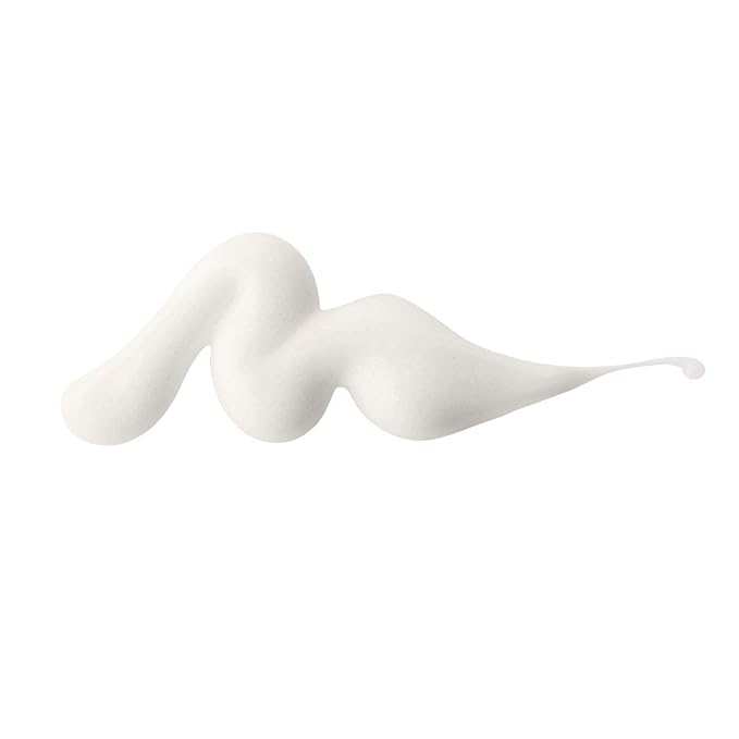 Whish Botanical Primer with Bakuchiol - Minimizes Pores, Wrinkles & Evens Skin Tone With Natural Retinol Alternative - Hydrating Makeup Primer For All Skin Types - Paraben & Sulfate Free - 2 oz