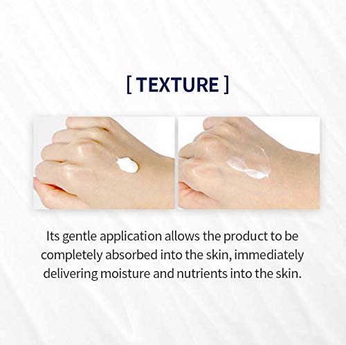 Pyunkang Yul PKY Intensive Repair Cream - Ceramide Moisturizer for Dry Skin with Shea Butter & Macadamia Oil, 1.7 Fl. Oz