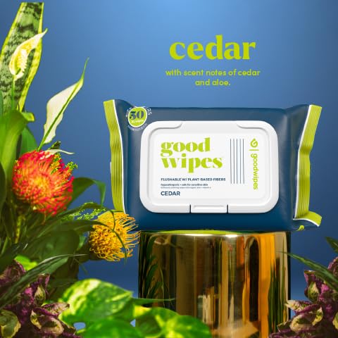 goodwipes Flushable Wipes - Individually Wrapped Butt Wipe for On-the-Go Adults - Portable Mini Wipes - Travel Essentials - Sewer & Septic Safe - Cedar, 32 Count (1 Pack)
