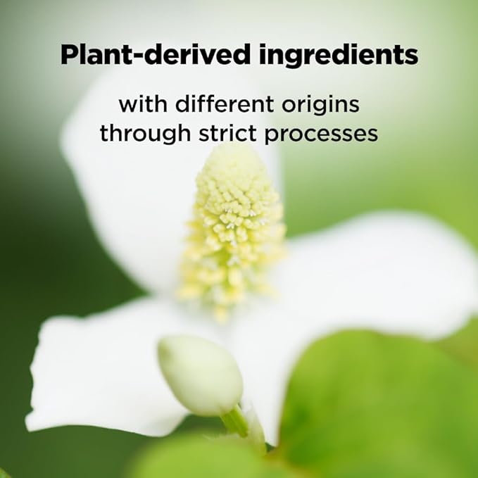 ISOI Moisture Dr. Mask Pack, Hydrating & Soothing Korean Sheet Mask for Face with Tea Tree, Ceramide & Hyaluronic Acid, Nourishing Skin Barrier Care, Korean Skin Care (10EA)