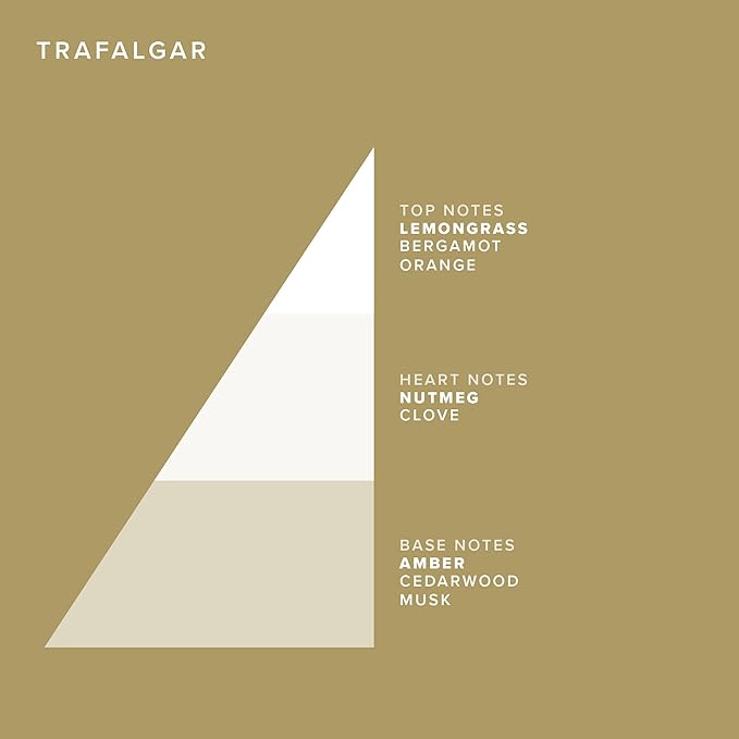 Truefitt & Hill Luxury Aftershave Balm - Trafalgar - Premium Soothing Moisturizer with Aloe Vera Extract - Ideal for Sensitive Skin, Razor Burn Relief, and a Silky Smooth Finish - 3.38 oz