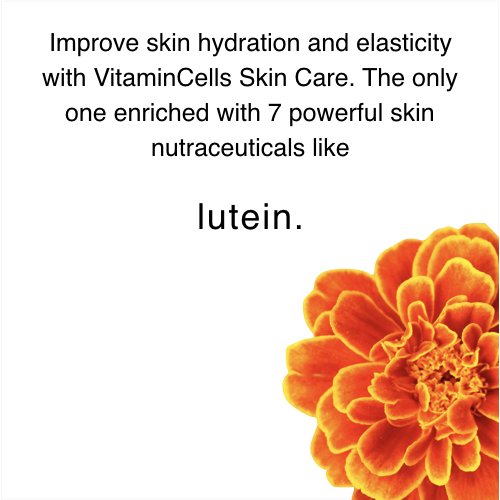 Ecco Bella Plant Based Rebuilder Night Cream - All Natural Anti-Aging Moisturizer for Face with Hyaluronic Acid, Vitamin C & Vitamin E - 2oz