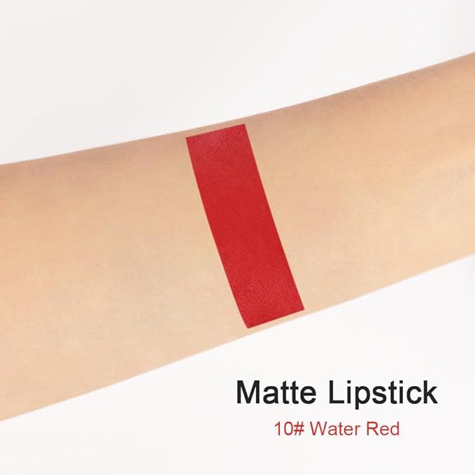 BINGBRUSH Smooth Longwear Lipstick Pack Set, Matte Color Stick Ultimate Lip Crayon for Makeup Collection - Waterproof Velvet Lipgloss Lip Stain (10#)