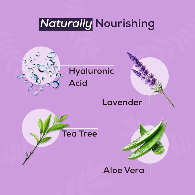 NOVEHA Lavender and Tea Tree Oil Eyelid Foaming Cleanser | Hydrating Hypoallergenic Daily Soap For Eyelashes and Lids, For Demodex, MGD, Stye Eye, Eye Irritations & Dry Skin | 3.38 fl oz (100ml)