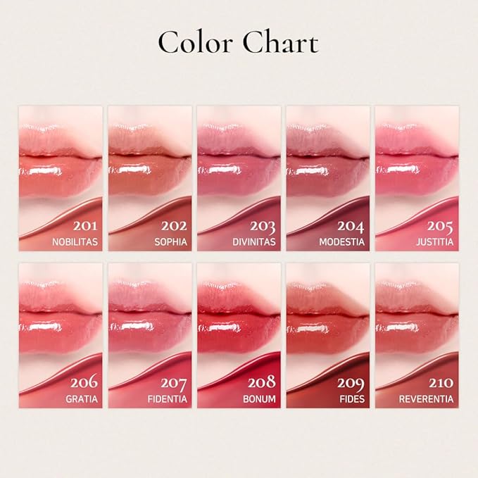 DINTO Blur-Glowy Lip Tint (230 Cōgitātiō)
