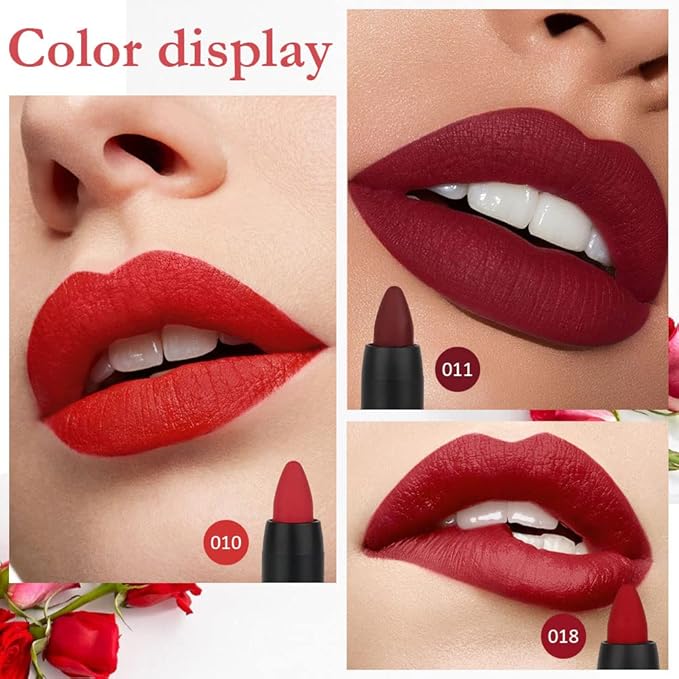 BINGBRUSH 3 Colors Longwear Lipstick Pack Set, Matte Color Stick Ultimate Lip Crayon for Makeup Collection - Nourishing Waterproof Velvet Lipgloss Lip Stain (10# 11# 18#)