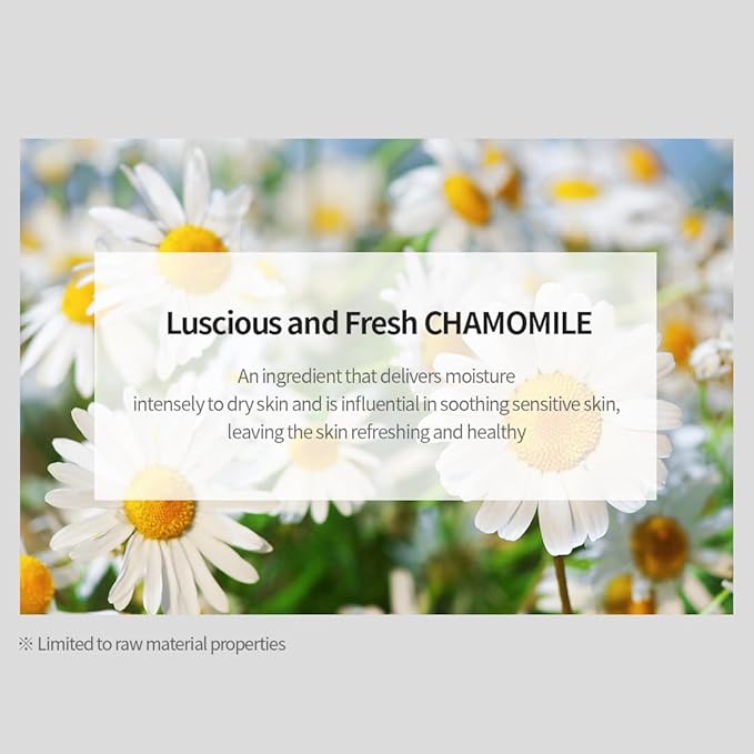 NACIFIC Fresh Herb Origin Facial Cream 1.69fl.oz 50ml Vitamin B, Vitamin Radiance Skin's moisture barrier Hydrating day and night Korean skincare for All skin types