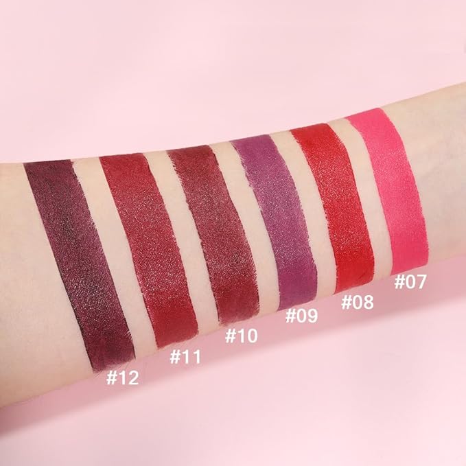 evpct 6Pcs Pink Dark Ruby Wine Red Plum Purple Matte Lipstick Sets for Women Velvet Lipstick Long Lasting Waterproof 24 Hours Lip Stick Stain Makeup Gift Set labiales mate 24 horas originales B