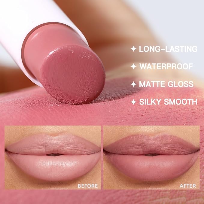 USHAS Lipstick and Lip Liner Combo Set 2 in 1 Waterproof Lipstick for Women Lip liner Set Long Lasting Lipstick, Matte Lipstick Pen with Lip Liner Set Makeup Kits (S10, Pack of 1)