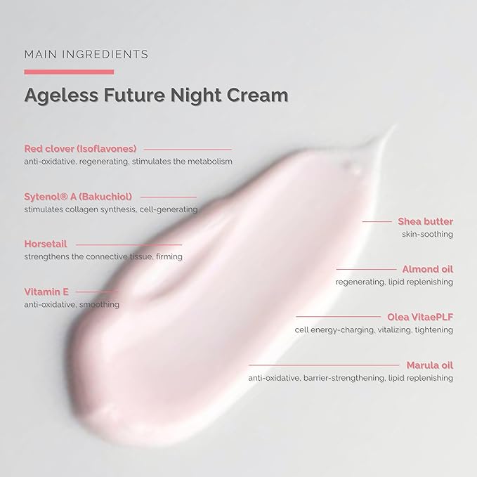 Ageless Future Night Cream (1.7 fl oz) - Skin Improving Anti-Aging Night Care – Regenerating Night Cream - with Vitamin A - Skin Care - Dr. Schrammek