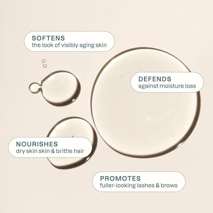 Cliganic Organic Castor Oil, 100% Pure (16oz with Eyelash Kit) - For Eyelashes, Eyebrows, Hair & Skin | Bulk, Natural Cold Pressed Unrefined Hexane-Free | DIY Carrier Oil