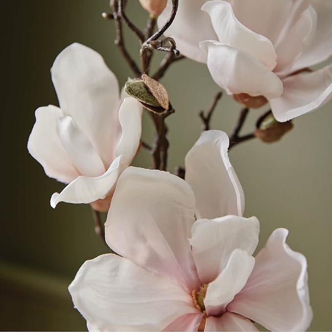 Thymes Hand Wash, Large - Magnolia Willow - 15.0 Fl Oz