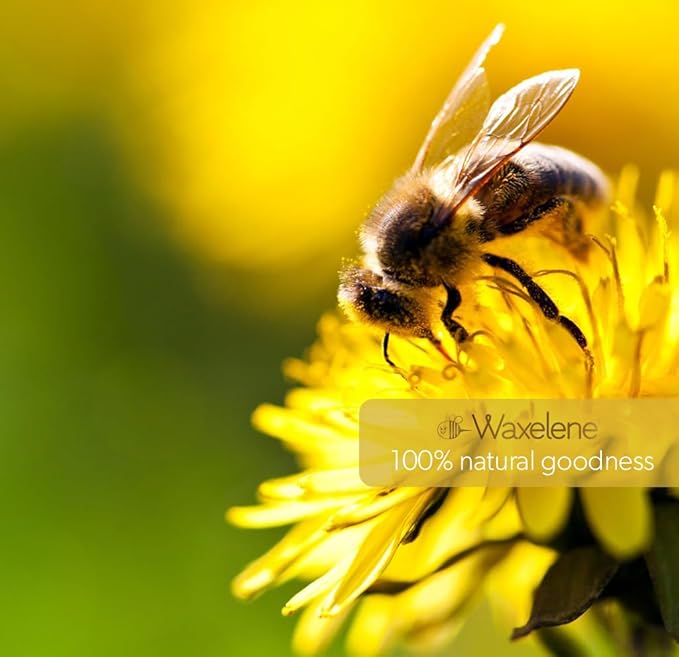 Waxelene Original Lip Tube, Single, Best Lip Balm Ever Organic Multipurpose Ointment Baby Eczema Chapped Dry Sensitive Skin Body Hand Face Moisturizer