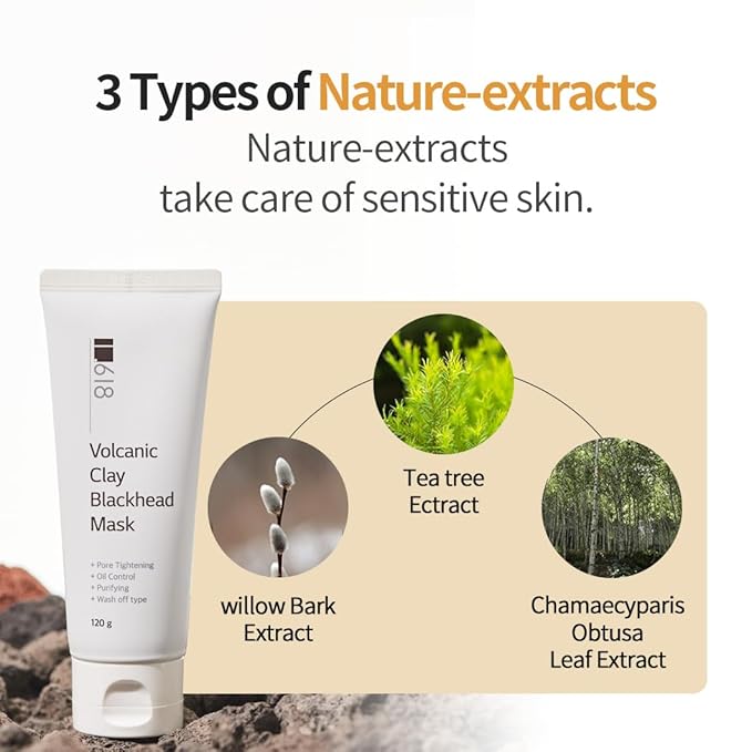 1.618 Volcanic Clay Korean Face Mask Fast-Drying Smooth Mud Mask with Tea Tree Care for Blackheads and Pores Pore Minimizer Skin Care Reducer