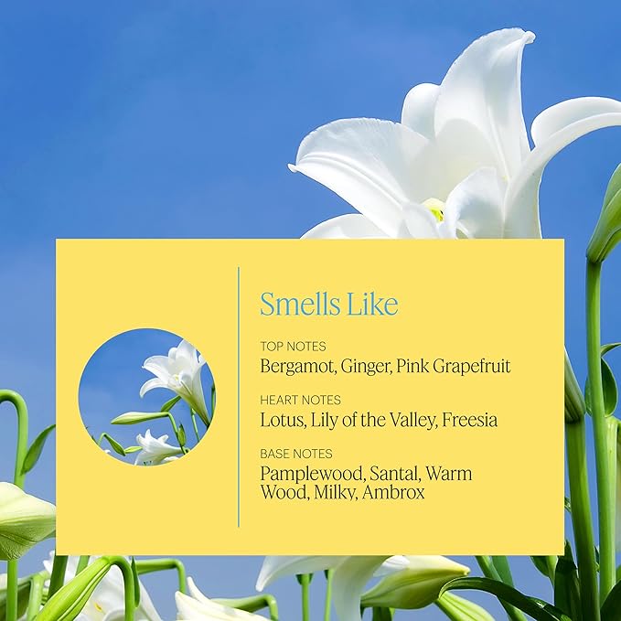 Aera Zephyr - Essential Oil for Home - Simple and Minimal Fragrance - Notes of Lotus Petals, Sandalwood and Lily of The Valley - Scent Refill - Works with The Aera Diffuser