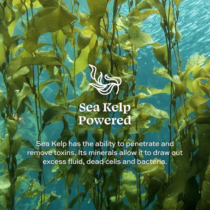 Aleavia Citrus Bliss Body Cleanse – Organic & All-Natural Prebiotic Body Wash, Scented with Pure Essential Oils – Nourish Your Skin Microbiome – 16 Oz.