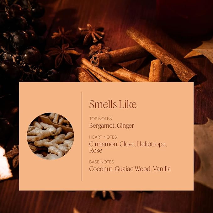 Aera Pumpkin Spice Home Fragrance Scent Refill - Notes of Pumpkin, Clove and Vanilla - Works with The Aera Diffuser - Limited Edition
