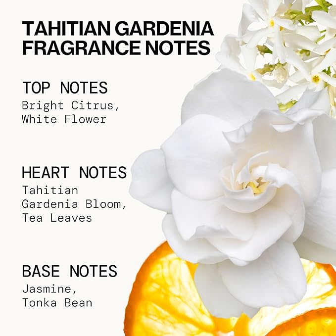 Pacifica Beauty, Wanderlust Spray Perfume Trial Set, Island Vanilla, 5 Scents, Fragrance Sampler Gift Set, Natural & Essential Oils, Clean, Vegan & Cruelty Free