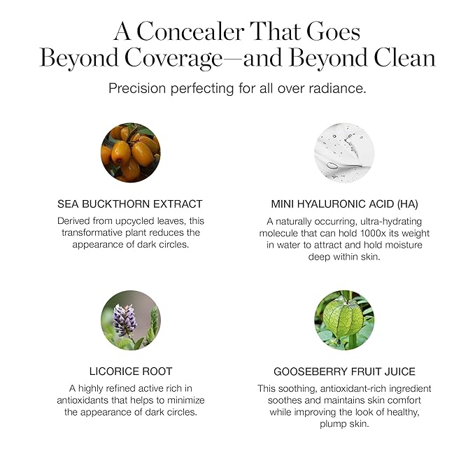 Ogee Complexion Perfecting Under Eye Concealer - Certified Organic Full Coverage Concealer - Buildable Coverage - FIR 0.02W - Fair (Warm-Golden Undertones)