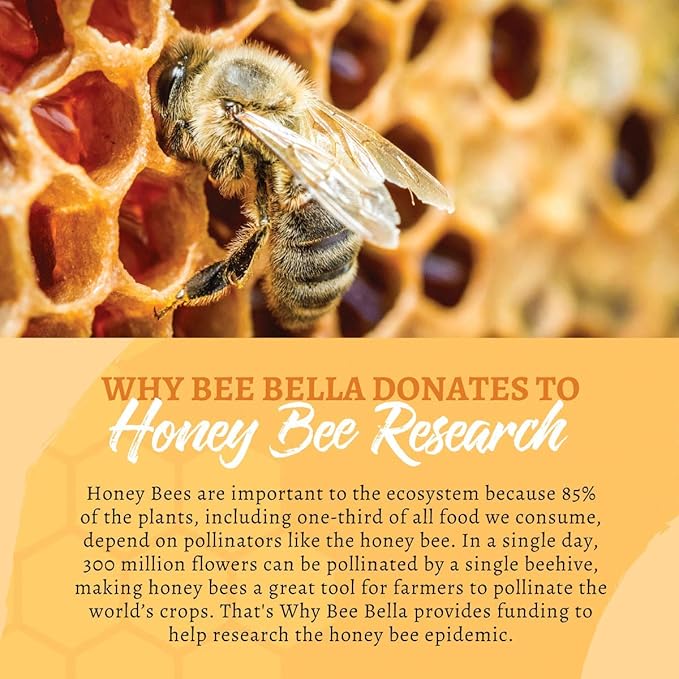 Bee Bella Lip Balm, Peppermint, 3 Pack - Hydrating Lip Care, 100% Natural, Original Organic Beeswax with Vitamin E, Handmade in USA