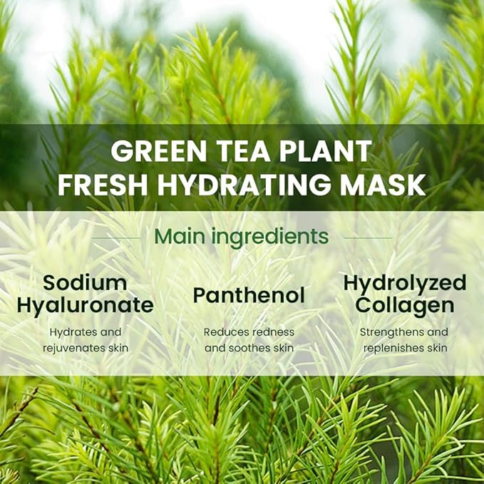 6 PCS Real Nature Tea Tree Hydrating Nature Face Masks Skincare, Hyaluronic Acid, Vitamin C and E, Chamomile, Korean Beauty Essence Facial Paper Sheet Mask for Skin Care Moisturizing