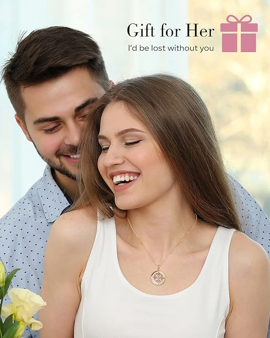 S925 Necklace Gift for Wife |Compass Jewelry |Women Anniversary |Sterling Silver |Girlfriend Birthday Gifts for Her Valentines |I'd be Lost without You |Jewel 18K Gold