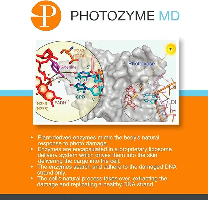 Photozyme Probiotic P291 Gentle Cleanser - Face Wash That Cleans and Tones - Removes Makeup and Impurities - pH Balances The Skin - Promotes Healthy Skin - 6 fl oz./177 ml