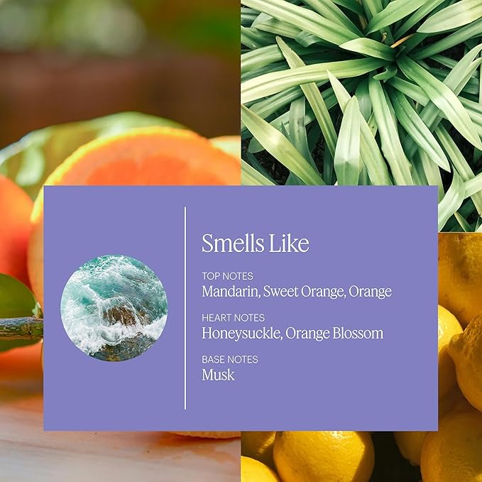 Aera Spa La La Home Fragrance Scent Refill - Notes of Peppermint and Rosemary - Works with The Aera Diffuser