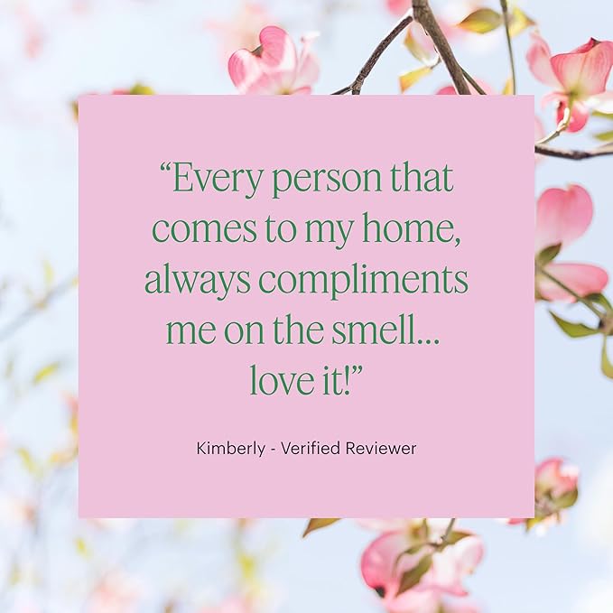 Aera Curiosity - Essential Oil for Home - Pear and Redberries Fragrance - Notes of Magnolia, Lotus Flower and Citrus - Scent Refill - Works with The Aera Diffuser