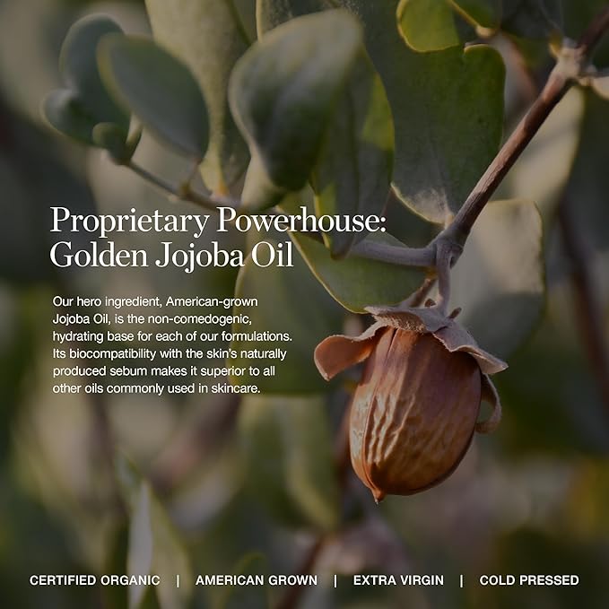 Ogee Complexion Perfecting Liquid Foundation - Lightweight Tinted Moisturizer For Face (Banyan 2.75W - Light Medium, Warm-Peach Undertones) - with Vitamin C & Jojoba Oil - Certified Organic