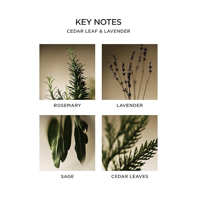 NEST New York Liquid Soap, Cedar Leaf & Lavender - 10 fl oz - Cleanses & Nourishes Skin - Approx. 300 Pumps Per Bottle - Gluten Free & Cruelty Free