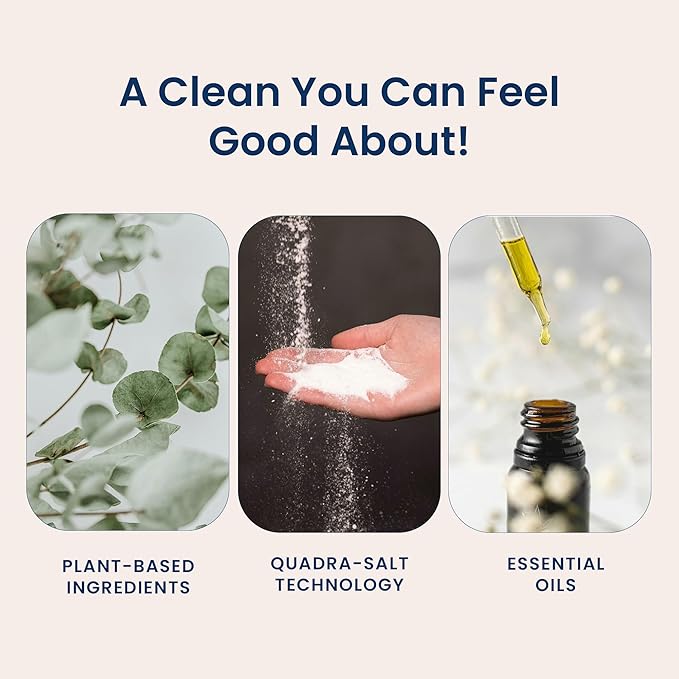 Truly Free Dishwasher Detergent Powder | Natural Dish Detergent, Dishwasher Soap | Plastic Free, Plant-Based, Clean, Heavy Duty Hard Water Stain & Grease Remover | Fragrance Free | 12.5 oz (Pack of 2)