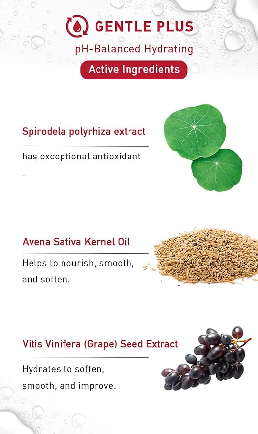 menorah Milky Hydrating Cream with Lemna & Oat – Ultra Lightweight, Soothing & Moisturizing Facial Lotion for Sensitive & Dry Skin, Daily Hydration & Comfort