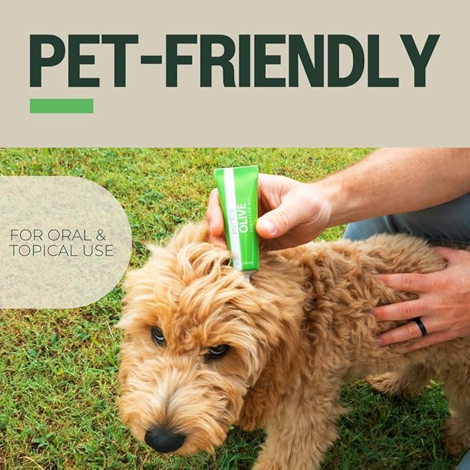 PurO3 Ozonated Olive Oil – Pure, Natural, Organic Skincare for Face & Body – Oxygenated Healing Lotion, Moisturizer & Beauty Cream in a Glass Jar – O3 Therapy Salve, 2 oz