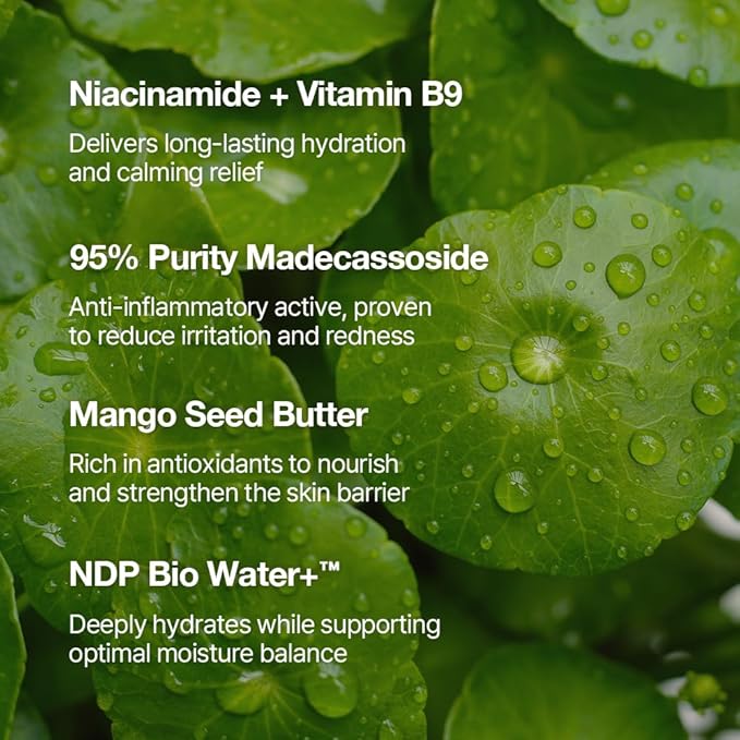 NDP Vitamin B9 Tone-up Cream, Silicone Free Face Primer for Pore Minimizing, 95% Pure Cica Extract, Breathable Skin Formula, Glass Skin & Lightweight, Vegan Clean K-Beauty (65ml / 2.19 Fl Oz)