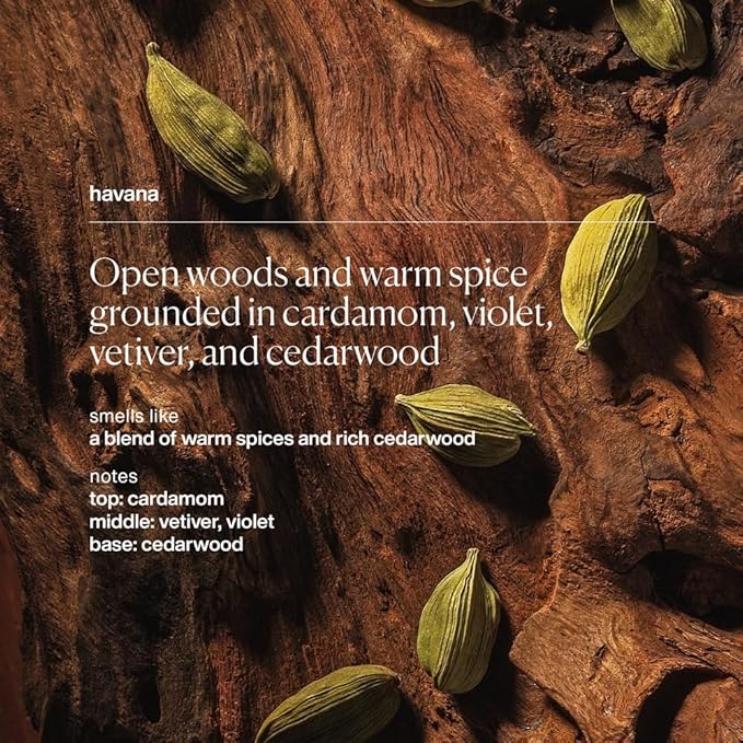 evolvetogether Hydrating Hand Cream for Women & Men | Nourishes, Protects & Moisturizes Dry Hands | No Sticky or Greasy Residue | Cruelty-Free, Paraben-Free | Made in USA (Havana, 1.7 Oz)