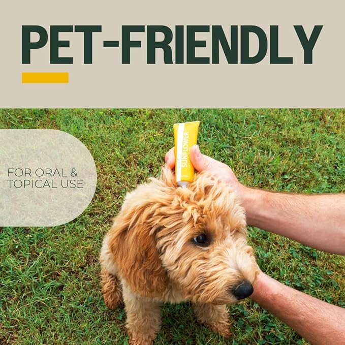 PurO3 Ozonated Sunflower Oil – Pure, Natural, Organic Skincare for Face & Body – Oxygenated Healing Lotion, Moisturizer & Beauty Cream in a Glass Jar – O3 Therapy Salve, 2 oz