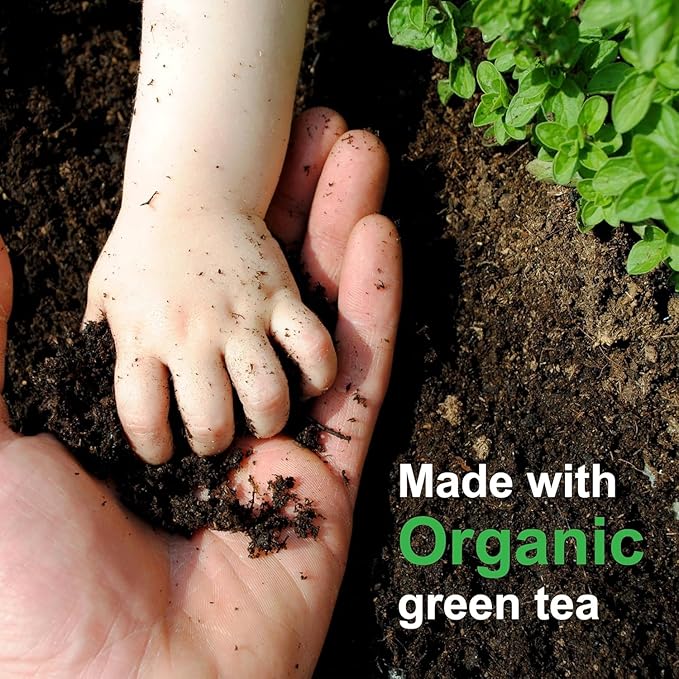 Green Tea Extract for Skin – Alcohol-Free, Cold-Processed Antioxidant Serum with USDA Organic Leaves – Cosmetic Grade for Face and DIY Skincare Formulations - 1 fl oz